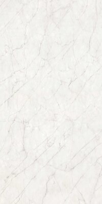 Anatolia 120x280 cm Majesto Ariel Bianco Polished Rectified Colorsync Sintered Slab 6 mm - 1