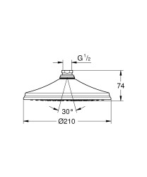 Grohe Rainshower Rustic Tepe Duşu 1 Akışlı - 28369000 - 2